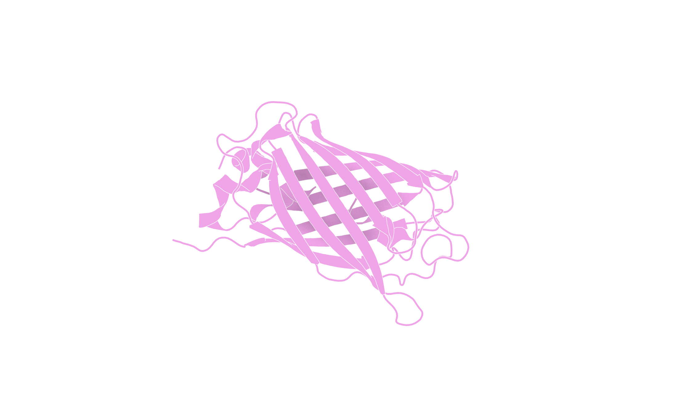 sfGFP