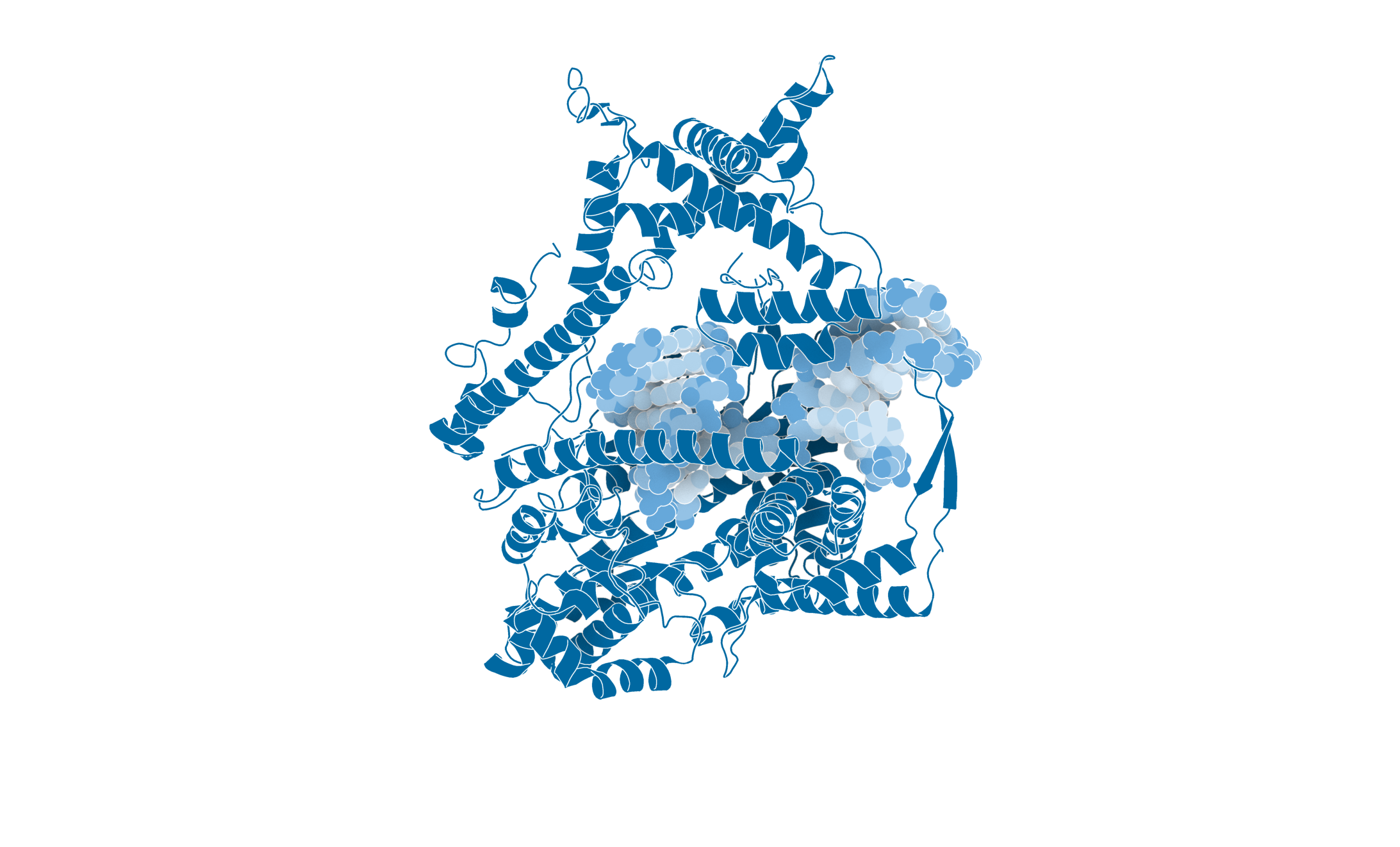 T7 RNAP
